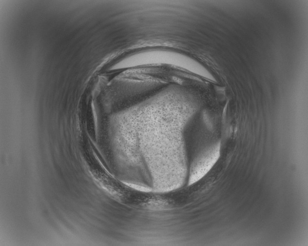 X0000080740256200701051152