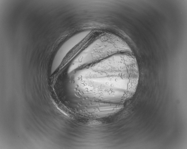 X0000080740257200701051152