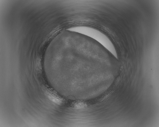 X0000080740258200701051152