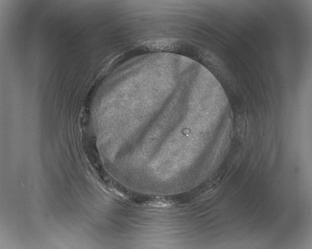 X0000080740259200701051152