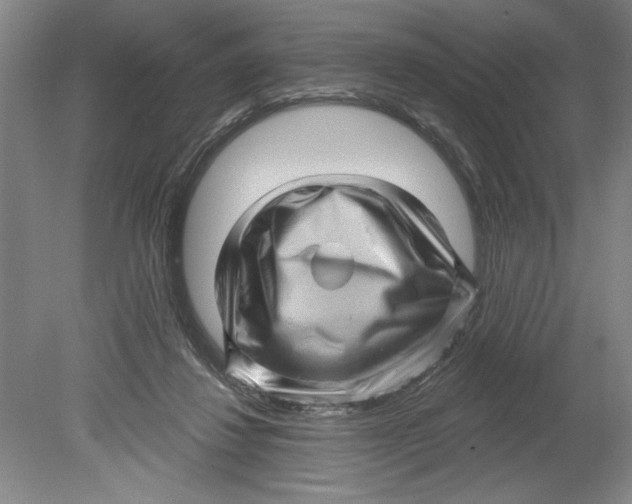 X0000080740260200701051152