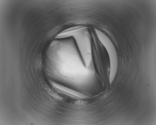 X0000080740261200701051152