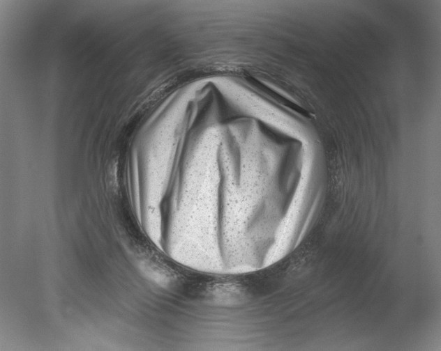 X0000080740262200701051152