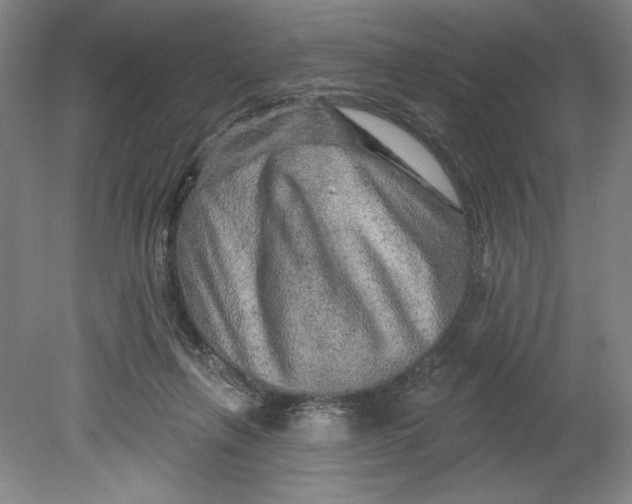 X0000080740263200701051152