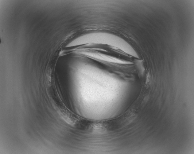 X0000080740264200701051152