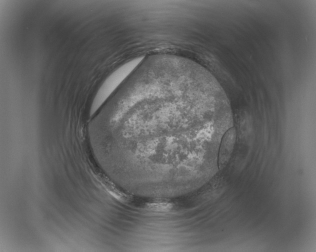 X0000080740266200701051152