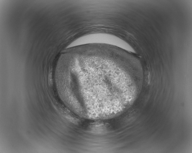 X0000080740267200701051152