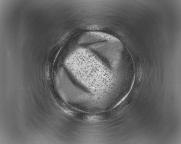 X0000080740268200701051152