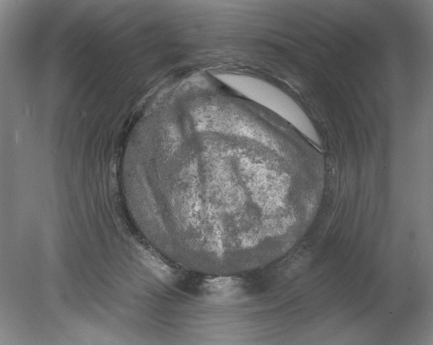 X0000080740269200701051152