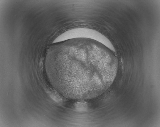 X0000080740271200701051152