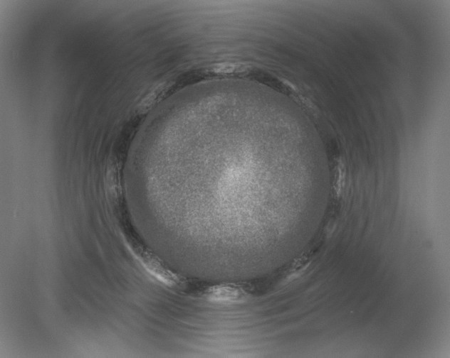 X0000080740272200701051152