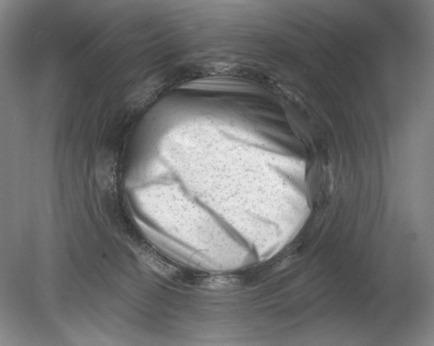 X0000080740274200701051152