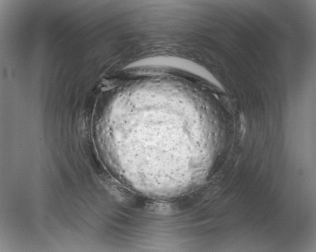 X0000080740276200701051152