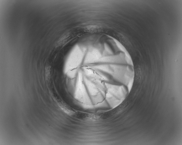 X0000080740278200701051152