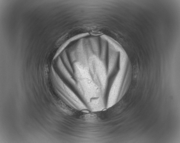 X0000080740279200701051152