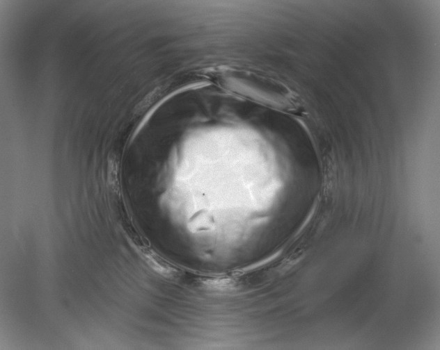 X0000080740281200701051152