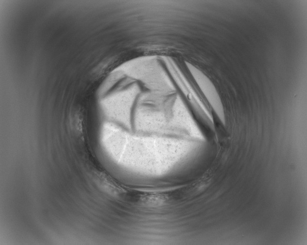 X0000080740282200701051152