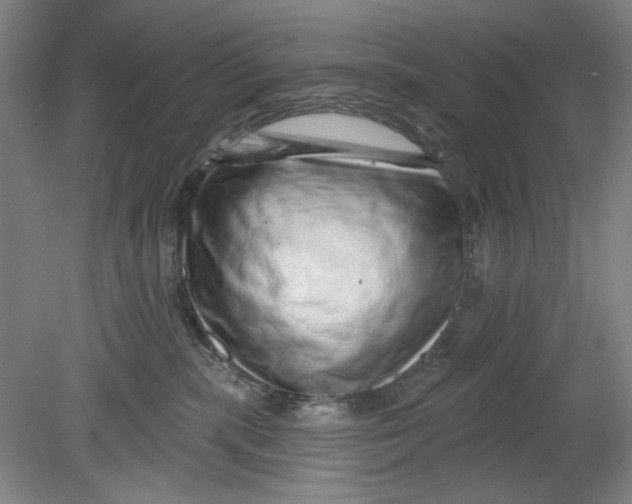 X0000080740283200701051152