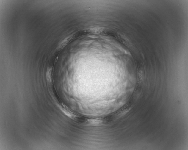 X0000080740286200701051152