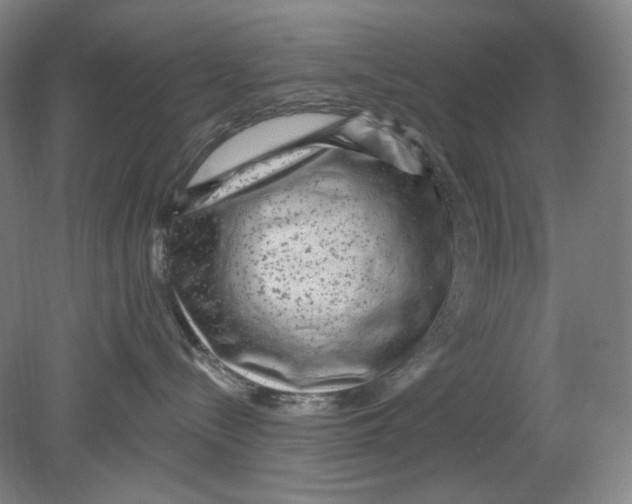 X0000080740288200701051152