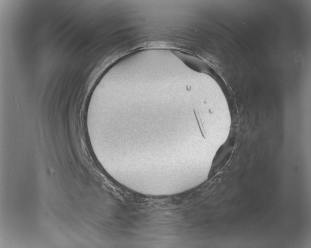 X0000080740289200701051152