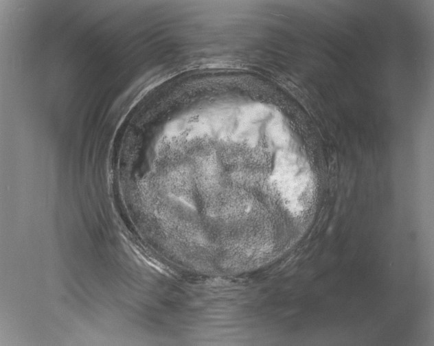 X0000080740290200701051152