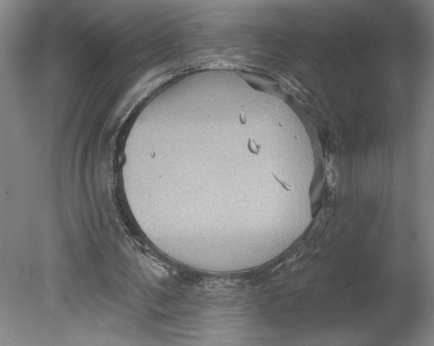 X0000080740291200701051152