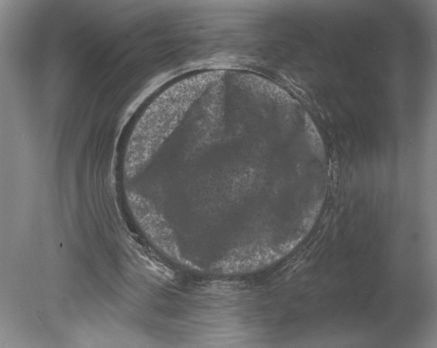 X0000080740292200701051152