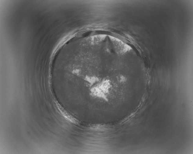 X0000080740293200701051152