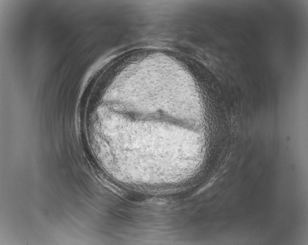 X0000080740294200701051152