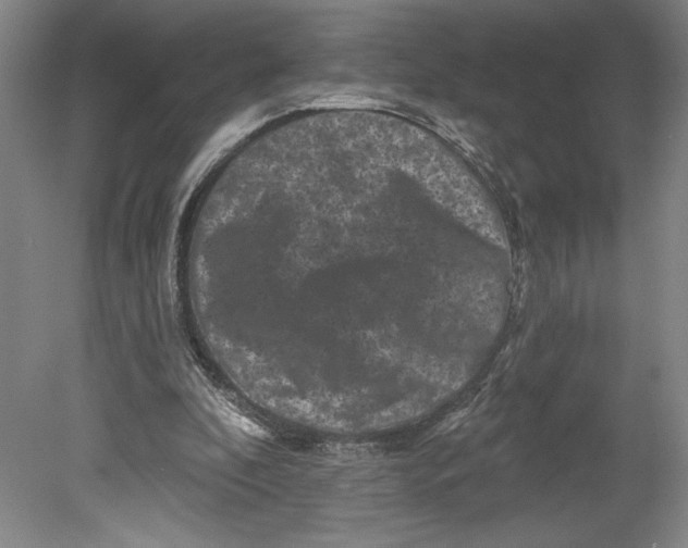 X0000080740296200701051151