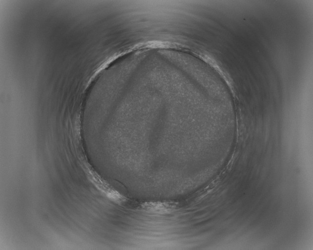 X0000080740297200701051151