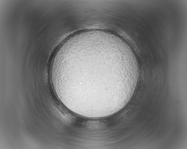 X0000080740298200701051151