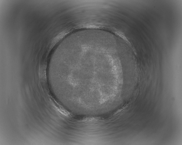 X0000080740299200701051151