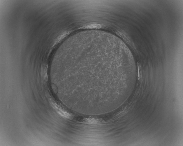 X0000080740300200701051151