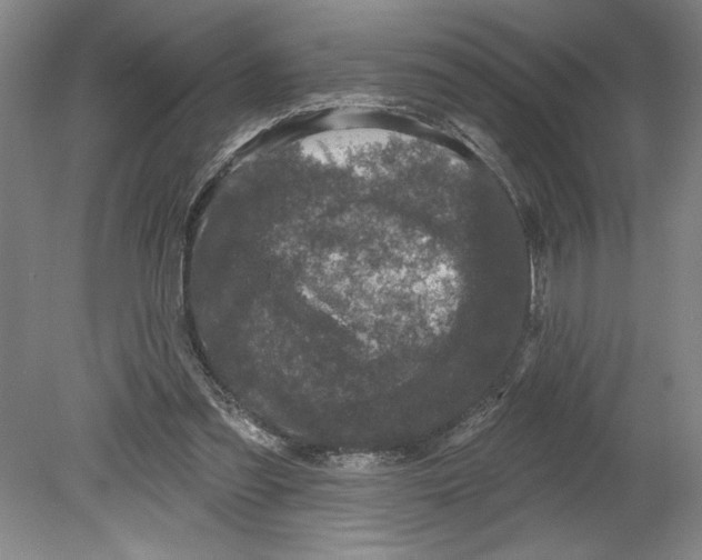 X0000080740301200701051151