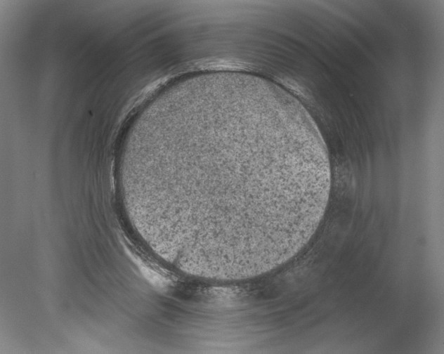 X0000080740302200701051151