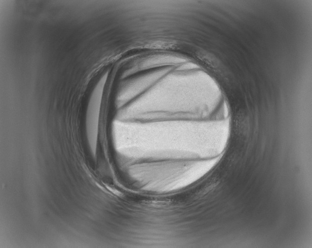 X0000080740303200701051151