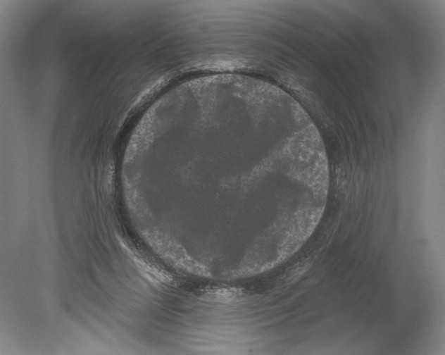 X0000080740304200701051151