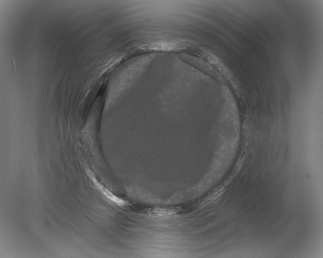 X0000080740305200701051151