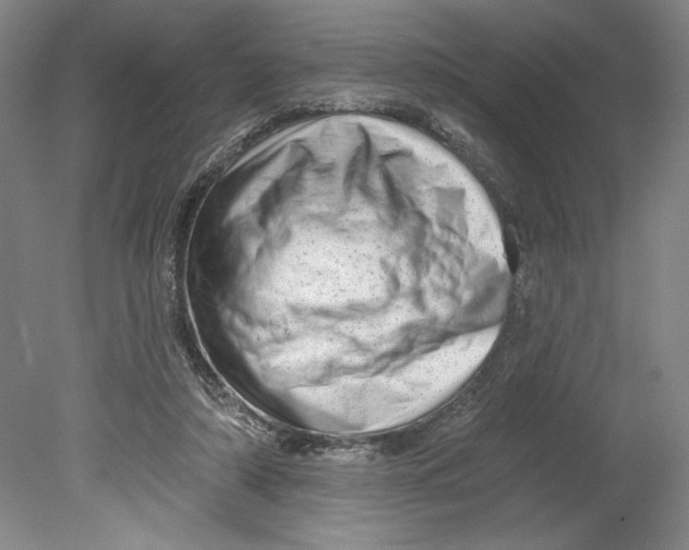 X0000080740306200701051151