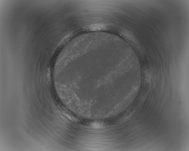 X0000080740308200701051151