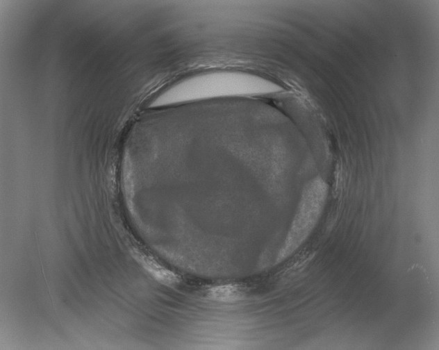 X0000080740309200701051151