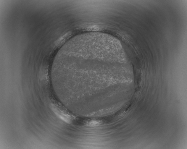 X0000080740312200701051151