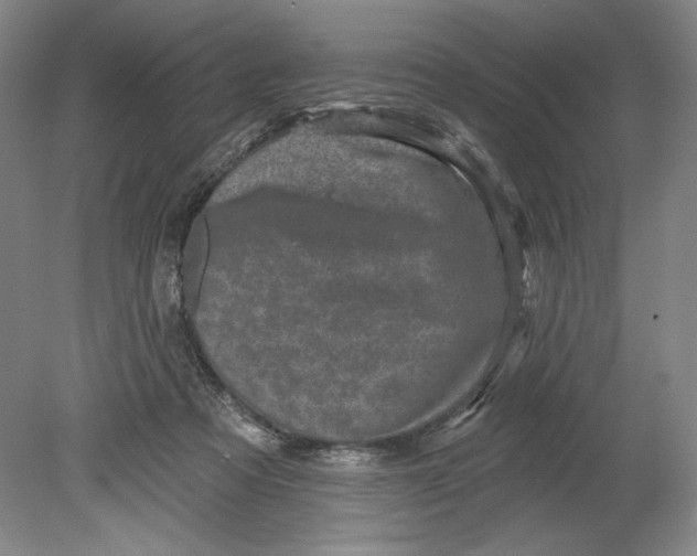 X0000080740313200701051151