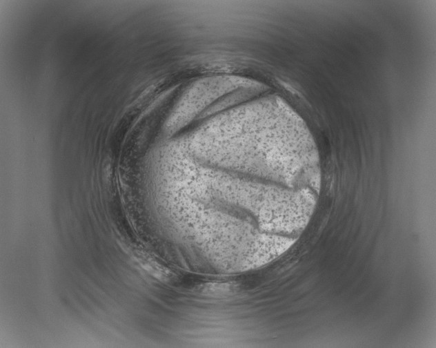 X0000080740314200701051151