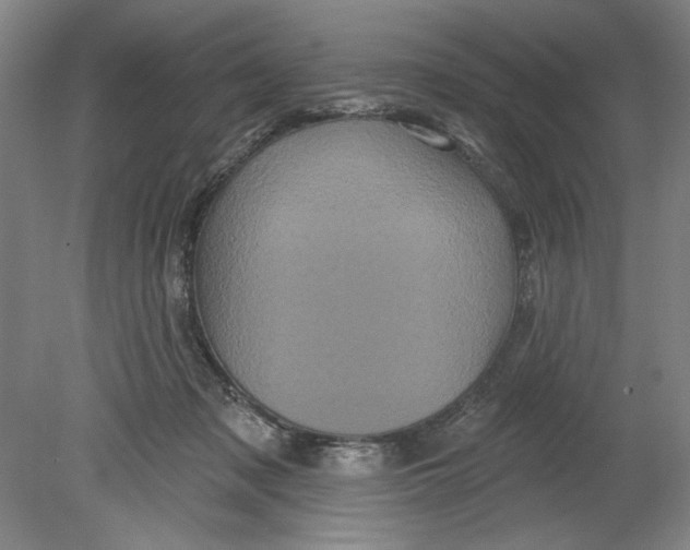 X0000080740317200701051151