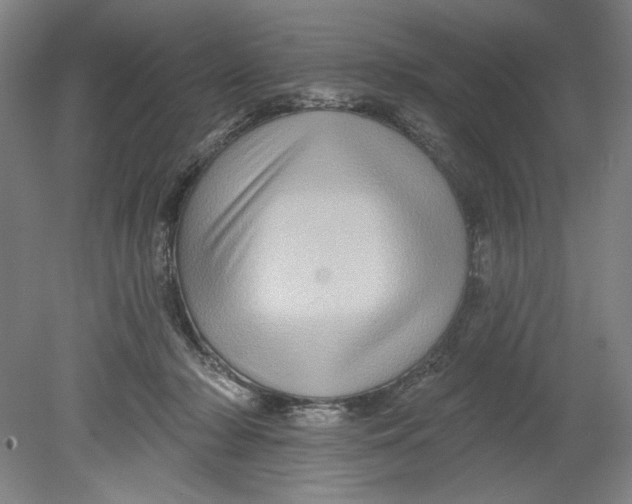 X0000080740318200701051151