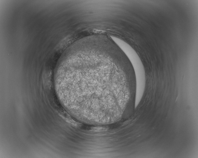 X0000080740319200701051151