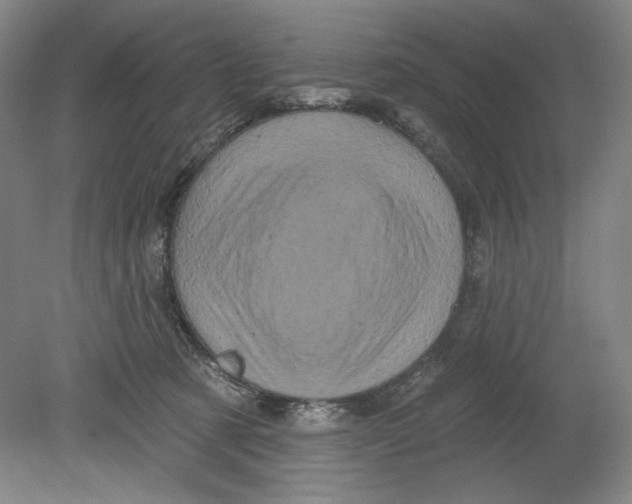 X0000080740321200701051151